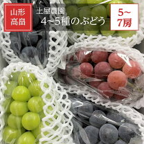 楽天市場】ぶどう 4kgの通販