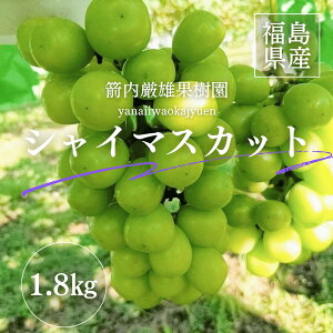 Ԃǂ yYʎz VC}XJbg 1.8kg 2`3[  s10/{o׊Jnt