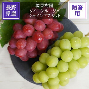 Ԃǂ yʎz VC}XJbg NC[[W 1[ 1kg 쌧{s s9/{`10/{oׁt