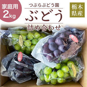 �Ԃǂ� �y�Ԃ�Ԃǂ����z �ƒ�p �l���� �Ԃǂ��F�X �i�킨�C�� 2kg �Ȗ،��Ȗ؎s �s7/��{�`7/���{���o�ׁt