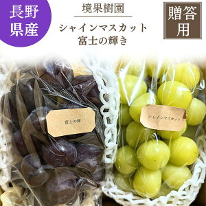 Ԃǂ yʎz xm̋P VC}XJbg 1[ 1kg 쌧{s s10/{`10/{oׁt