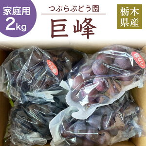 Ԃǂ yԂԂǂz ƒp  햳 2kg Ȗ،Ȗ؎s