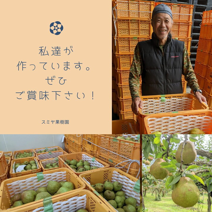 楽天市場】【 スミヤ果樹園 】 洋梨 ラ・フランス 約1.8kg ジャンボサイズ6L~8L 特秀 3玉 贈答用 山形県 上山市 大玉 洋なし ラフランス : にこやかアーケード 楽天市場】【 スミヤ果樹園 】 洋梨 ラ・フランス 約1.8kg ジャンボサイズ6L~8L 特秀 3玉 贈答用 山形県 上山市 大玉 洋なし ラフランス : にこやかアーケード