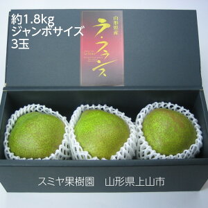 m yX~ʎz mȂ EtX 1.8kg W{TCY6L`8L G 3  p R`Rs tX s11/{`11/{oׁt