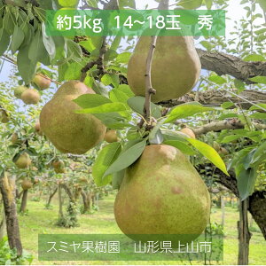 m yX~ʎz mȂ EtX 5kg G 2L`4L 14`18 R`Rs tX s11/{`11/{oׁt