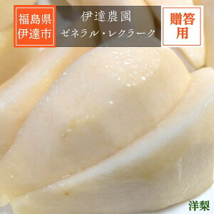 m yɒB_z [lEN[N 2.5kg 5`7 p s11/{`11/{oׁt