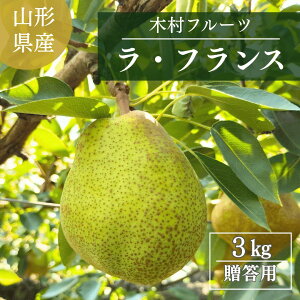 m yؑt[cz mȂ EtX 3kg 2L`5L 7`11 R`Rs tX s11/{`11/{oׁt