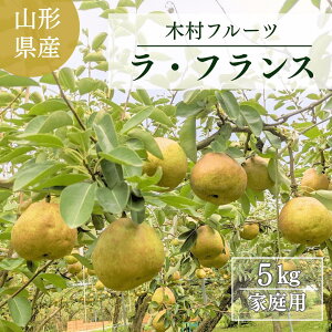 m yؑt[cz mȂ EtX ƒp 󂠂 5kg R`Rs tX s11/{`11/{oׁt