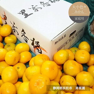 ݂ yʉz TCYs 10kg 80`120 ƒp I É ls  ~J s11/{`11/{E12/{̏oׁt