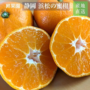 �݂��� �y���ʉ��z S~M 5kg ��50�`65�� �ƒ�p �É��� �l���s ���� �~�J�� �s10/���{�`10/���{���o�׊J�n�t