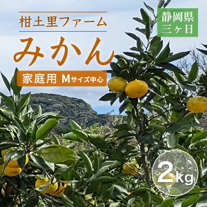 みかん 【柑土里ファーム】 三ヶ日みかん 2kg 家庭用 糖度12度前後 静岡県 三ヶ日 《11/下旬〜12/上旬より出荷開始》