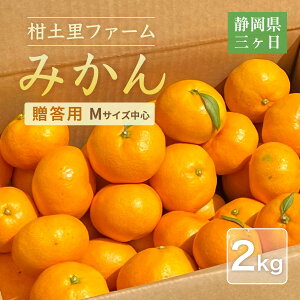 ݂ yyt@[z O݂ 2kg p x12xO É O s11/{`12/{o׊Jnt
