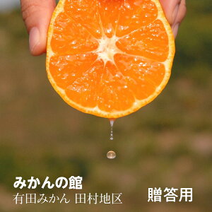݂ ẙ݂فz Lc݂ uhYn cnY ̎ p G S 55~65 5kg a̎R  ~J k s11/{`12/{oׁt