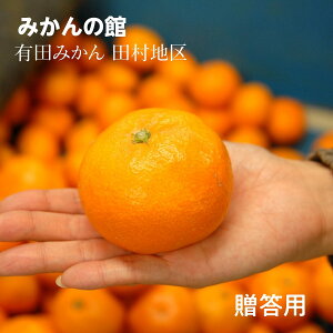 ݂ ẙ݂فz Lc݂ uhYn cnY M 5kg a̎R  ~J k s11/{`11/{oׁt