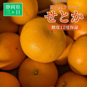 k yyt@[z Ƃ 3.5kg ZT[ x12x ÉOPs3/{`3/{oׁt