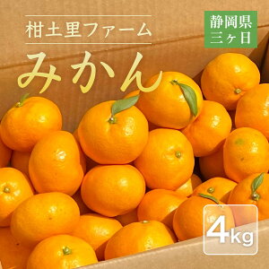 ݂ yyt@[z O݂ 4kg S~L(SM) x12xO É O s11/{`12/{o׊Jnt