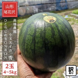 スイカ 小玉スイカ 【高橋農園】ひとりじめBONBON 2玉 4〜5kg 優 尾花沢 訳あり 家庭用 山形県 ひとりじめボンボン《7/中旬〜7/下旬より出荷》