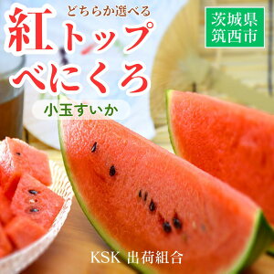 �X�C�J ���ʃX�C�J �yKSK�o�בg���z �g�g�b�v �ׂɂ��� 2L �ǂ��炩1�� 2�`3kg �����p ��錧�}���s ������ ���� ��̓� �s5/6�`5/���{���o�ׁt