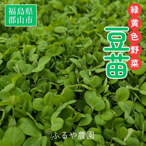 c yӂ_z N[ Ȃ 70g×50 3.5kg Ɩp  n VN