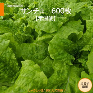 T` yӂ_z 퉷 600 Ɩp  n VN