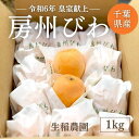 びわ 【生稲農園】 房州びわ 1kg 12～15個 サイズ色々 枇杷 皇室献上の実績 父の日 千葉県南房総市《5/中旬～5/下旬よ…