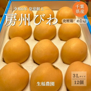 �т� �y����_���z �[�B�т� ��1kg 12�� 3L ���ϔ� ���f �c������̎��� ���̓� ��t����[���s�s5/���{�`6/��{���o�ׁt