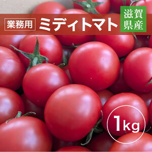 g}g Ɩp ʃg}g ~fBg}g 1kg ꌧ 11/{`7/{̔̔