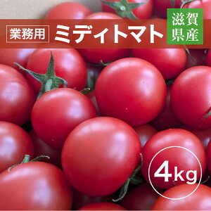 g}g Ɩp ʃg}g ~fBg}g 4kg ꌧ 10`7̔̔