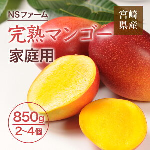 �}���S�[ �yNS�t�@�[���z ���n�}���S�[ 850g 2�`4�� �ƒ�p �{�茧�{��s�s6/���{�`6/���{���o�ׁt