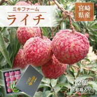 ライチ 【ミキファーム】 国産 生ライチ 450g 特選 大粒 12個 贈答用 御中元 宮崎県高鍋町 《7/上旬～7/…