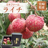 ライチ 【ミキファーム】 国産 生ライチ 600g サイズ色々 贈答用 御中元 宮崎県高鍋町 《7/上旬～7/下旬…