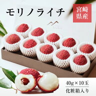 ライチ 【森緑園】 国産 生ライチ モリノライチ 400g 10玉 糖度15度 贈答用 宮崎県 《6/下旬～7/中旬の出…
