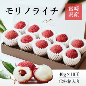 ライチ 【森緑園】 国産 生ライチ モリノライチ 400g 10玉 糖度15度 贈答用 宮崎県 《6/下旬～7/中旬の出荷》