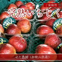 いちじく 【せた農園】 家庭用 350g×4P 1.4kg 和歌山県産 《8/中旬～8/下旬より出荷開始》 北海道・沖縄県は配送未対…