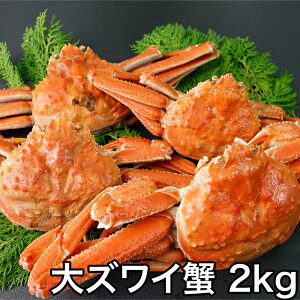 YCKj Ⓚ 2kg {Cς }Ⓚ Mtg NNnp