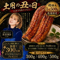 父の日 土用の丑の日 うなぎ 蒲焼 超特大 300g 400g 500g ギフト ご褒美 ファミリー 冷凍 ウナギ 鰻 蒲焼…