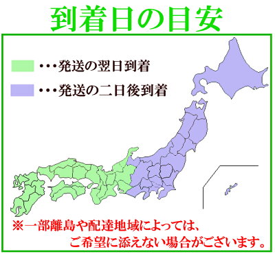 【送料無料】安全安心九州産お試し焼肉セット!牛肉、豚肉、鶏肉全部入ったセット/BBQ/鹿児島/和牛/福岡/宮崎/詰め合わせ/黒毛和牛