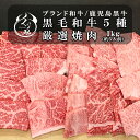 【9割以上のお客様が喜んでくれた。食べ比べ黒毛和牛5種入り】 店長お任せ焼肉セット1kg（5人〜6人）鹿児島黒牛A4等級…