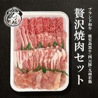 【1日5セット限定】【九州の恵みを一皿に凝縮】ブランド和牛 鹿児島黒牛と福岡四元豚、九州若鶏の贅沢焼…