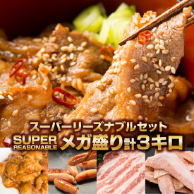 メガ盛り スーパーリーズナブル 肉セット 5点 計3kg 冷凍 食品 普段使い 肉 食材 キングカルビ 味噌だれ牛ホルモン オールポークウインナー 豚バラスライス 豚トロ