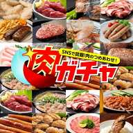 わくわく感満載 肉の詰め合わせ 福袋 肉ガチャ 食品 冷凍 肉 精肉 加工品 お肉 肉福袋