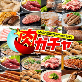 【期間限定ボリュームアップキャンペーン中】わくわく感満載 肉の詰め合わせ 福袋 肉ガチャ 食品 冷凍 肉 精肉 加工品 お肉 肉福袋