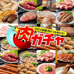 わくわく感満載 肉の詰め合わせ 福袋 肉ガチャ 食品 冷凍 肉 精肉 加工品 お肉 肉福袋