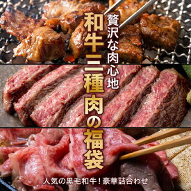 福袋 黒毛和牛三種の肉福袋 和牛切り落とし400g / 和牛ロースステーキ300g / 和牛タレ漬けロースひとくちステーキ400g 冷凍 食品 肉 牛肉 焼肉 お取り寄せ セット