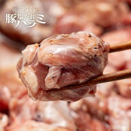 三元豚太郎 塩ダレ 豚ハラミ 冷凍 食品 豚肉 焼肉