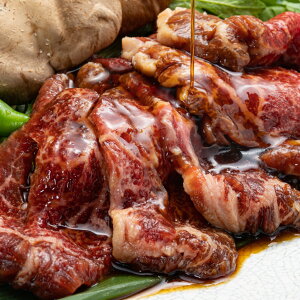 ���\�񍢓�X SATO�u���A��×The Oniku ���јa���q������ �Ⓚ �� ���� �q���� �ē� �����Ă��� �u���� �T�g�[�u���A�� �ʔ� ������