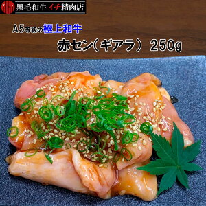 јa A5 ԃZiMAj 250g z ē 250O OPENi ʉi  Ԍ艿i