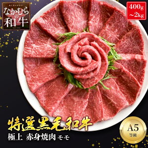 ��i�ȃT�V�� ���炩�� �󏭂Ȗ��o�Y���� A5 ���јa�� ���I ���� �ē��p 400g 600g 800g 1kg 1�L�� 1.5kg 2kg �Ԑg ������ �ē��p�� ���� �ē� ���� ���Y �① �������� �M�t�g �������� �a���� ���j