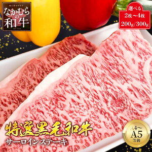 炩 󏭂ȖoY I A4 A5  јa T[CXe[L 200g 300g 2 3 4 Ε Mtg ċ u[X ͊܂܂܂ Xe[L a Ⓚ  ~Mtg j