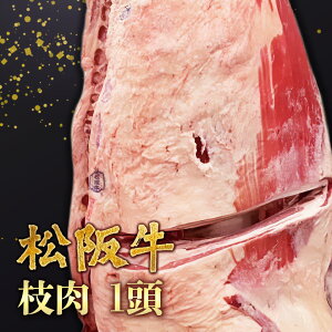 ㋍ A5  } ꓪ yql̂v]ɉăJbeBO܂z A5N јa Xe[Lp ēp Ăp Ԃԗp 